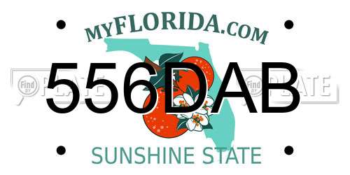 556DAB Florida License Plate