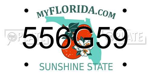 556G59 Florida License Plate
