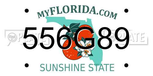 556G89 Florida License Plate