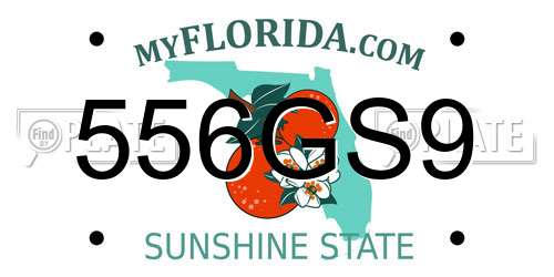 556GS9 Florida License Plate