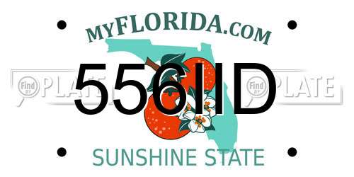 556IID Florida License Plate