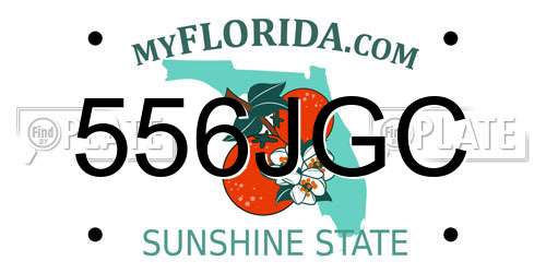 556JGC Florida License Plate