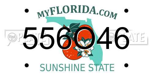 556O46 Florida License Plate
