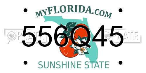 556Q45 Florida License Plate