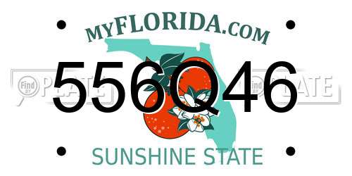 556Q46 Florida License Plate