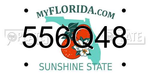 556Q48 Florida License Plate