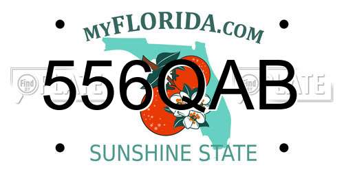 556QAB Florida License Plate