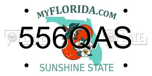 556QAS Florida License Plate