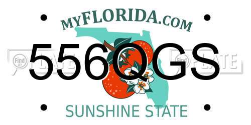 556QGS Florida License Plate