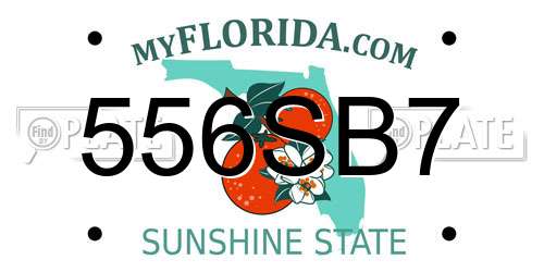 556SB7 Florida License Plate