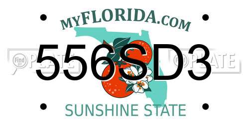 556SD3 Florida License Plate