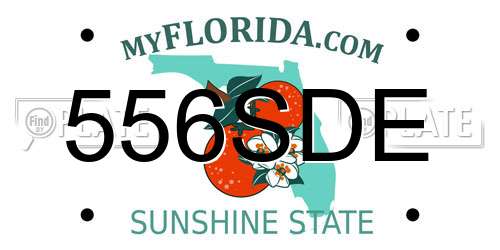 556SDE Florida License Plate
