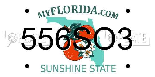 556SO3 Florida License Plate