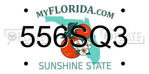 556SQ3 Florida License Plate