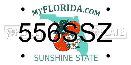 556SSZ Florida License Plate