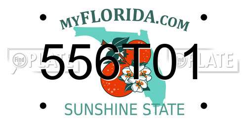 556T01 Florida License Plate