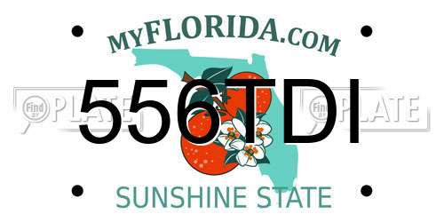 556TDI Florida License Plate