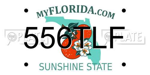 556TLF Florida License Plate