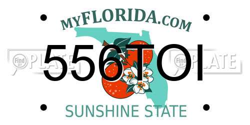 556TOI Florida License Plate