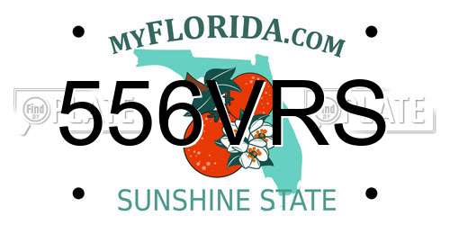 556VRS Florida License Plate