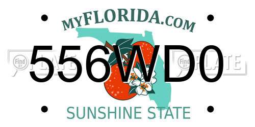556WD0 Florida License Plate