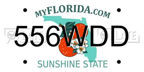 556WDD Florida License Plate