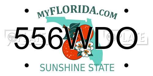 556WDO Florida License Plate