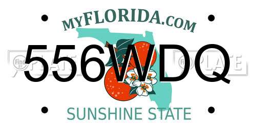 556WDQ Florida License Plate