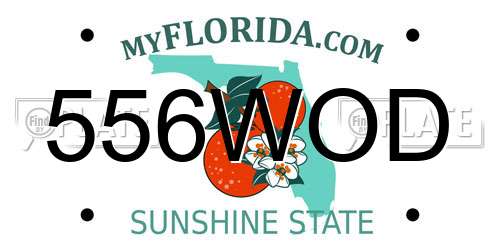 556WOD Florida License Plate
