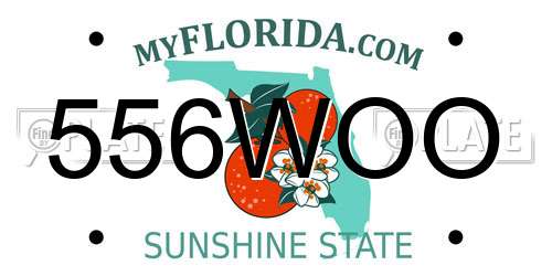 556WOO Florida License Plate