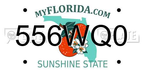 556WQ0 Florida License Plate
