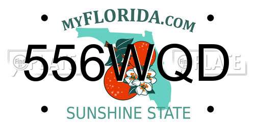 556WQD Florida License Plate