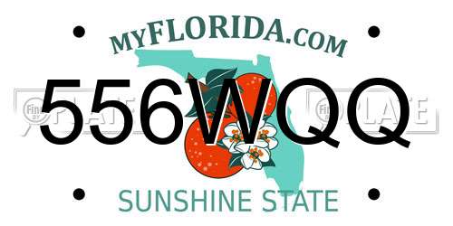 556WQQ Florida License Plate