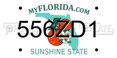 556ZD1 Florida License Plate