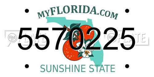 5570225 Florida License Plate