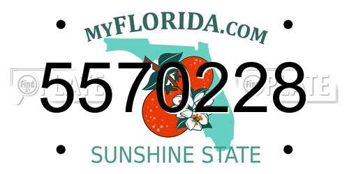 5570228 Florida License Plate