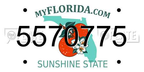 5570775 Florida License Plate