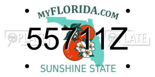55711Z Florida License Plate