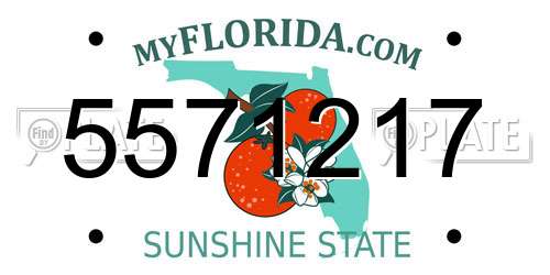 5571217 Florida License Plate