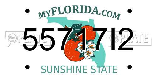 55717I2 Florida License Plate