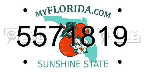 5571819 Florida License Plate