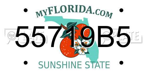 55719B5 Florida License Plate