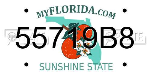 55719B8 Florida License Plate