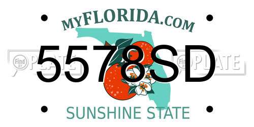 5578SD Florida License Plate