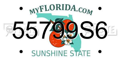 55799S6 Florida License Plate