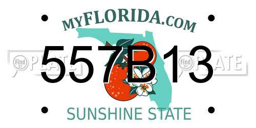 557B13 Florida License Plate