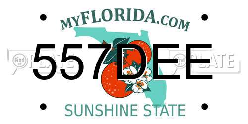 557DEE Florida License Plate