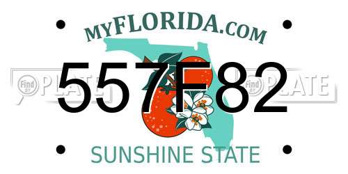 557F82 Florida License Plate