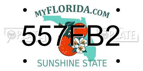 557FB2 Florida License Plate