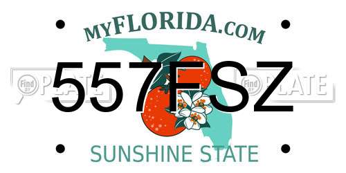 557FSZ Florida License Plate